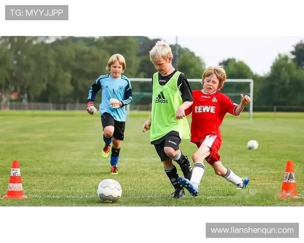 球迷如何投资德甲球队？众筹与股份模式详解